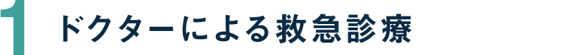 ドクターによる緊急診療