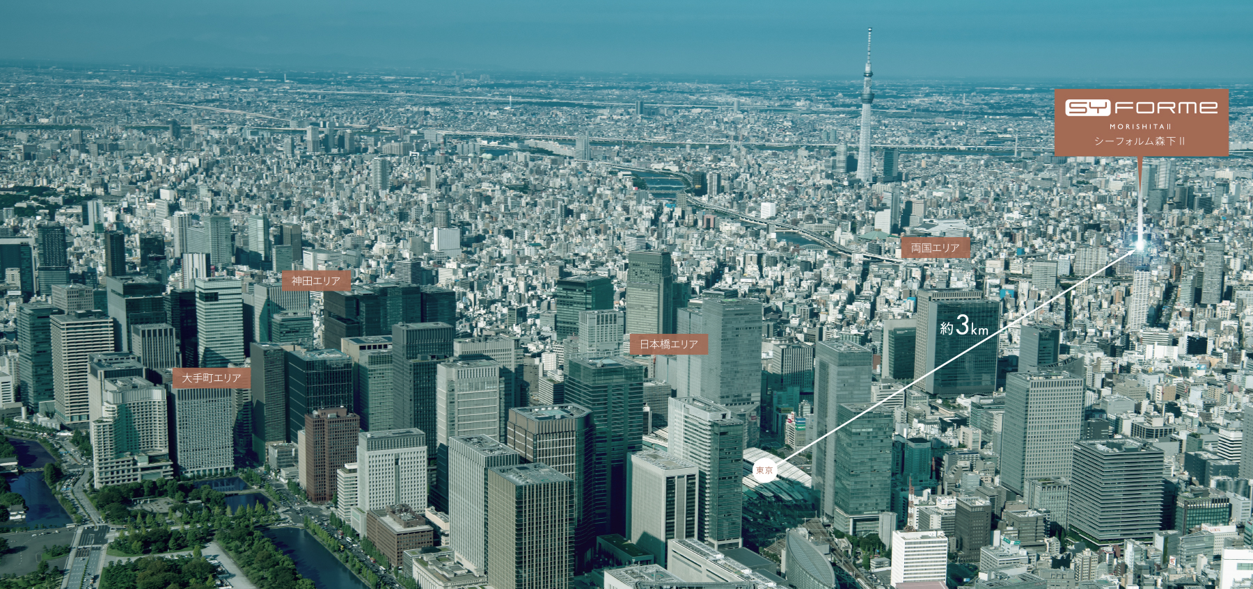 航空写真