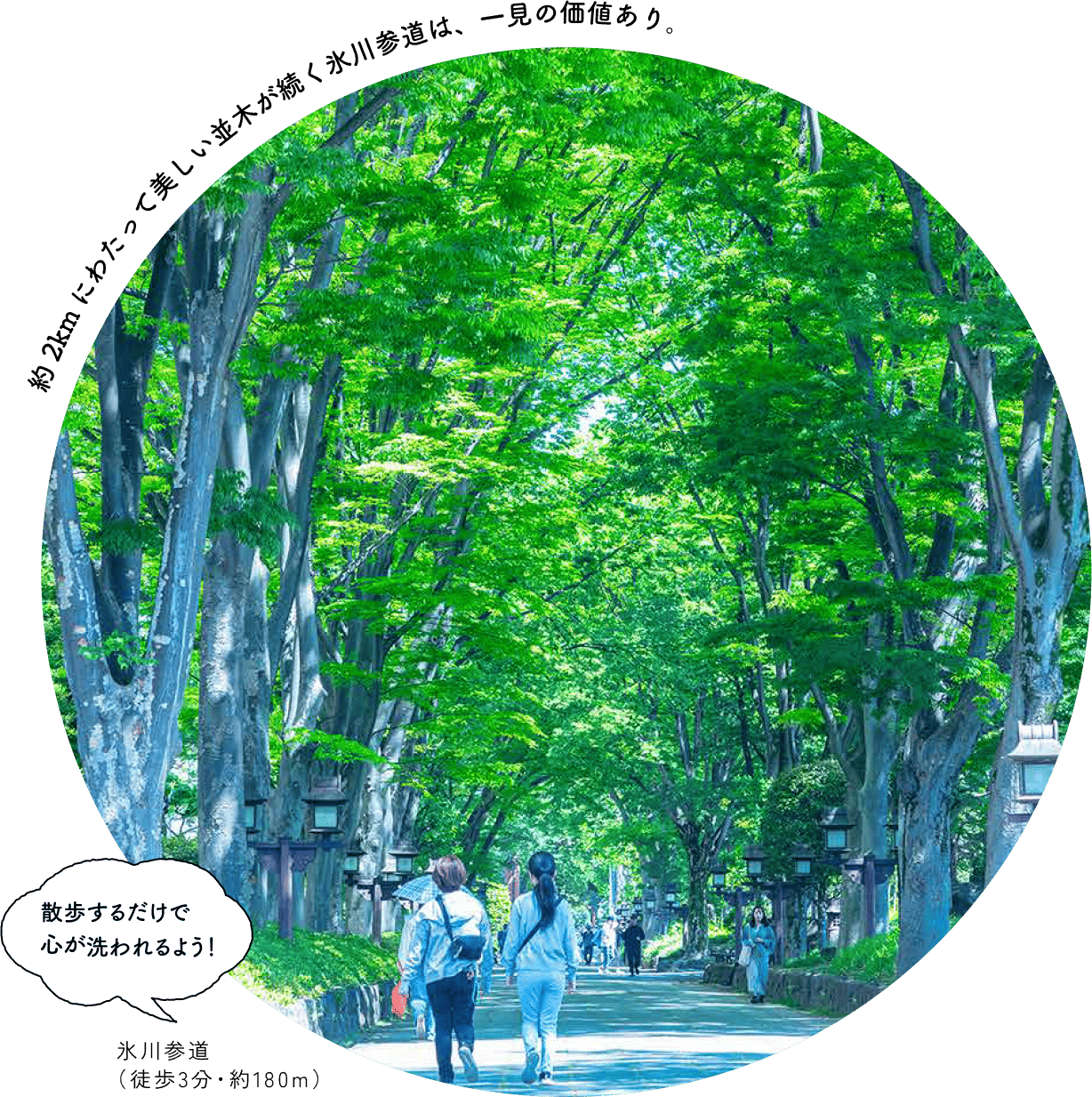 氷川参道(徒歩3分・約180m)