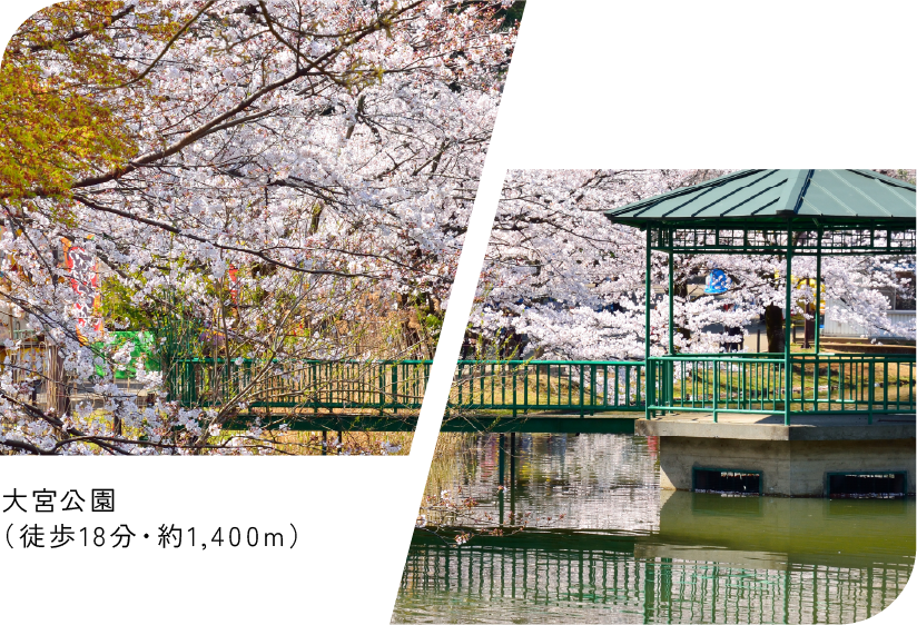 大宮公園